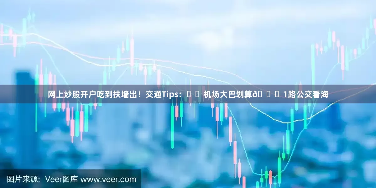 网上炒股开户吃到扶墙出！交通Tips：✈️机场大巴划算🚌1路公交看海
